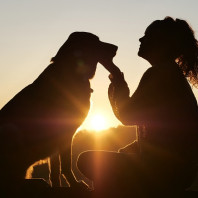 PetBuy פט ביי ההגנה